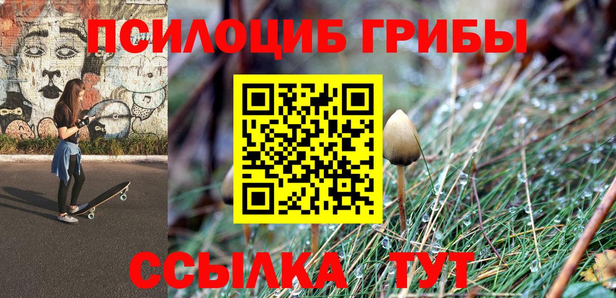 Псилоцибиновые грибы мицелий  Вход с VPN  Аша  Галлюциногенные грибы прущие грибы 